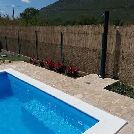 Holiday Vemini