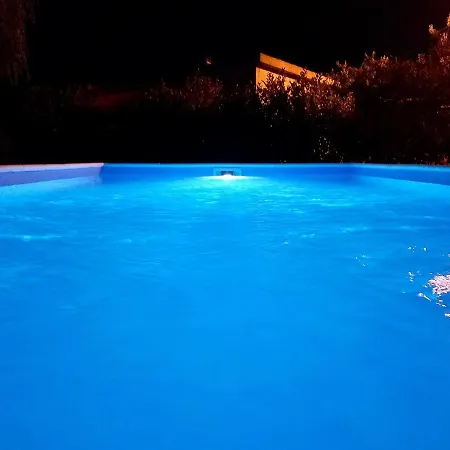 Holiday Vemini *